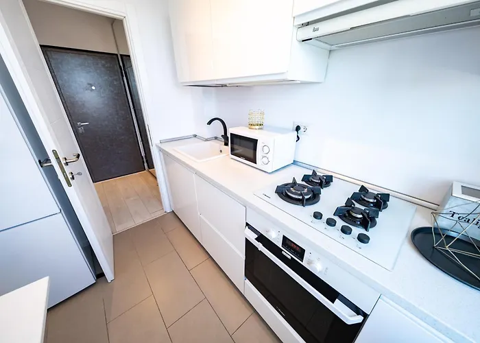 Apartament Ultracentral Romana *