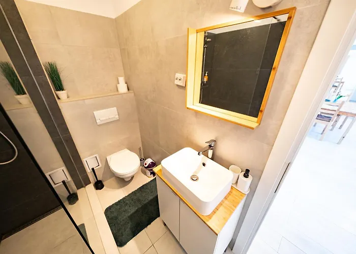 Apartment Ultracentral Romana